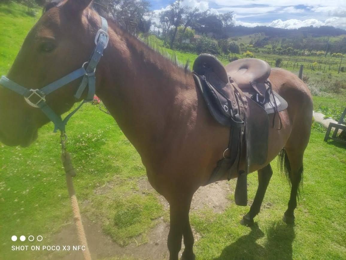 Glamping Mi Casita Parque de Campismo Guatavita