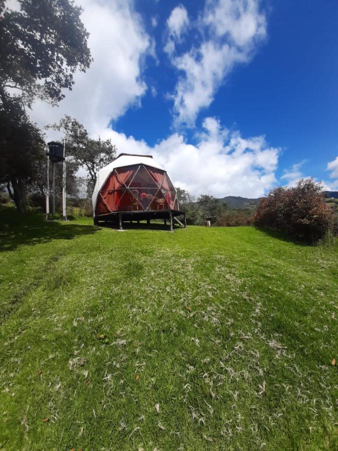 Glamping Mi Casita Campsite *