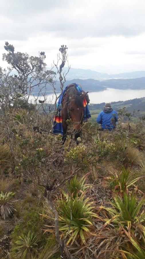 Glamping Mi Casita Campsite Guatavita